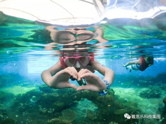 海洋浮潛館，海洋館設(shè)備