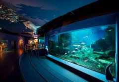 水族館的建設(shè)過(guò)程中需要考慮哪些因素？需要哪些設(shè)備呢？